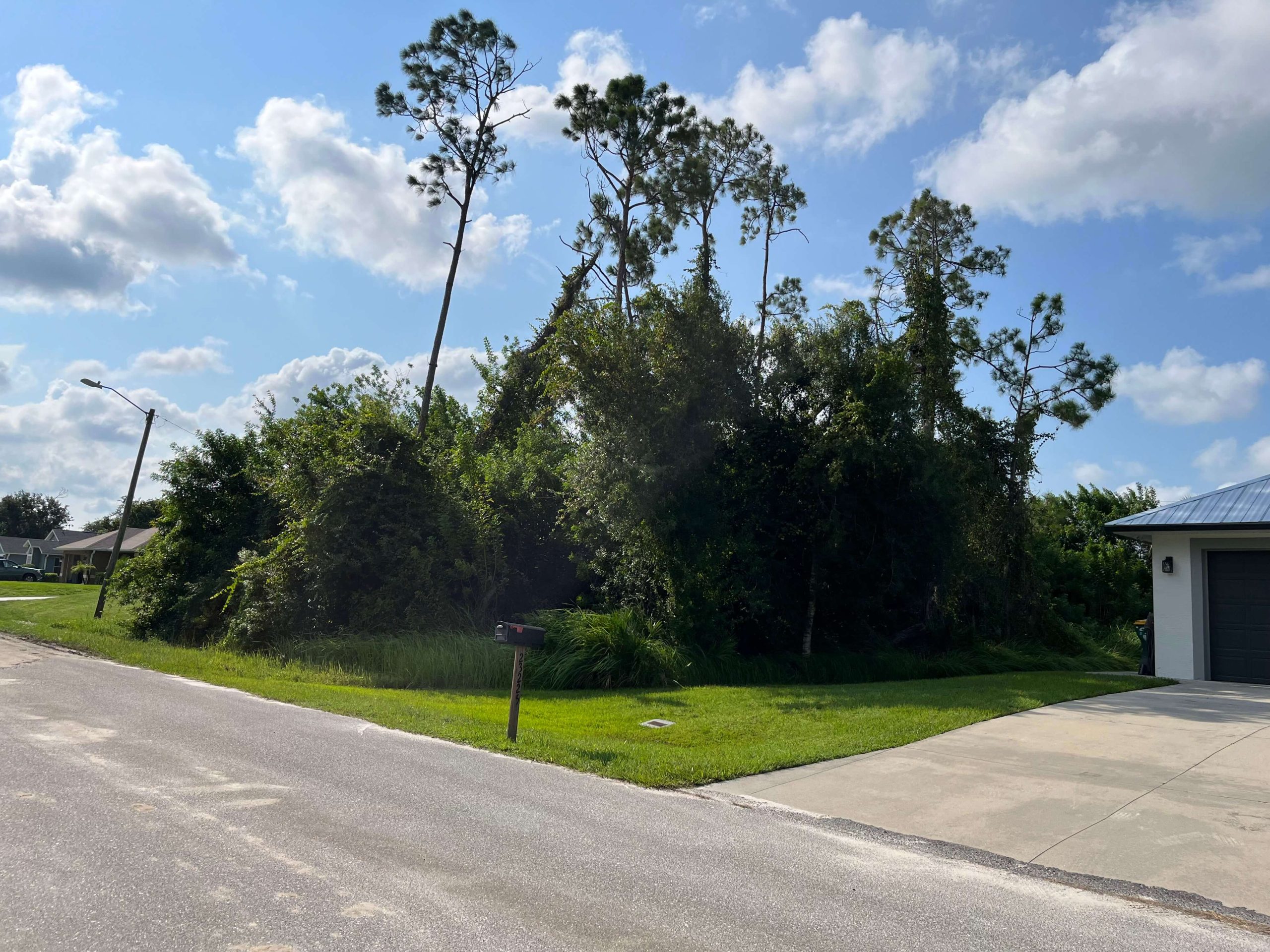 Port Charlotte Florida Land Clearing Before