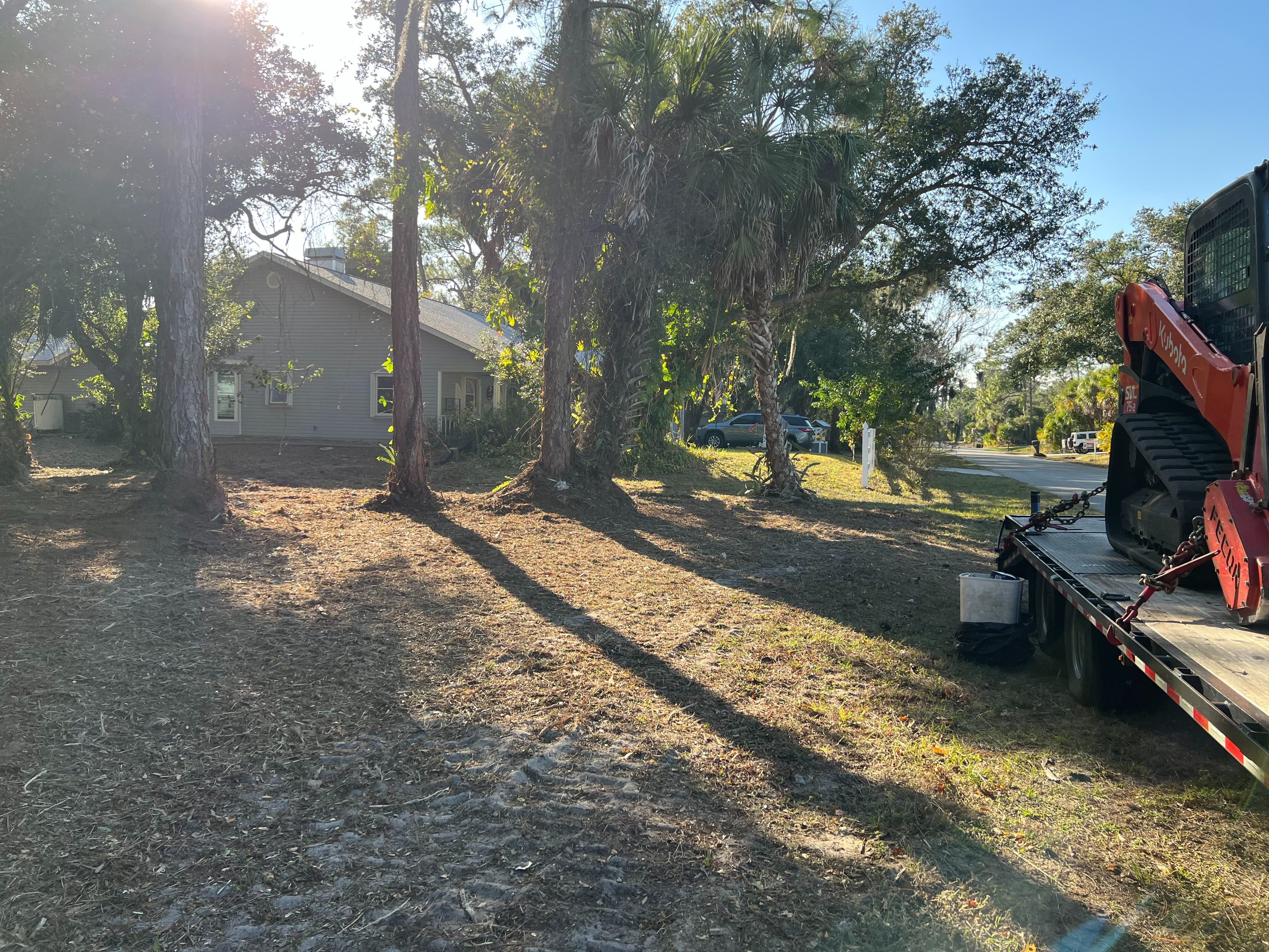 Commercial forestry mulcher clearing dense Florida brush